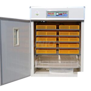 Commercial Egg Incubator Cabinet (Pre-Order Only)